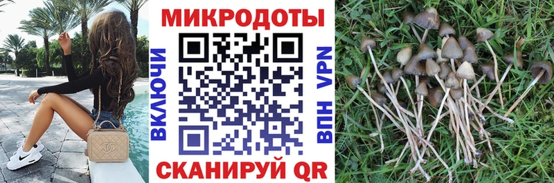 Псилоцибиновые грибы Cubensis  купить наркотик  Пересвет 